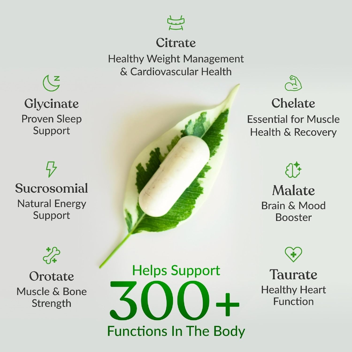 BIOptimizers Magnesium Breakthrough – 7 Forms of Magnesium | 500mg | 60 Veggie Caps