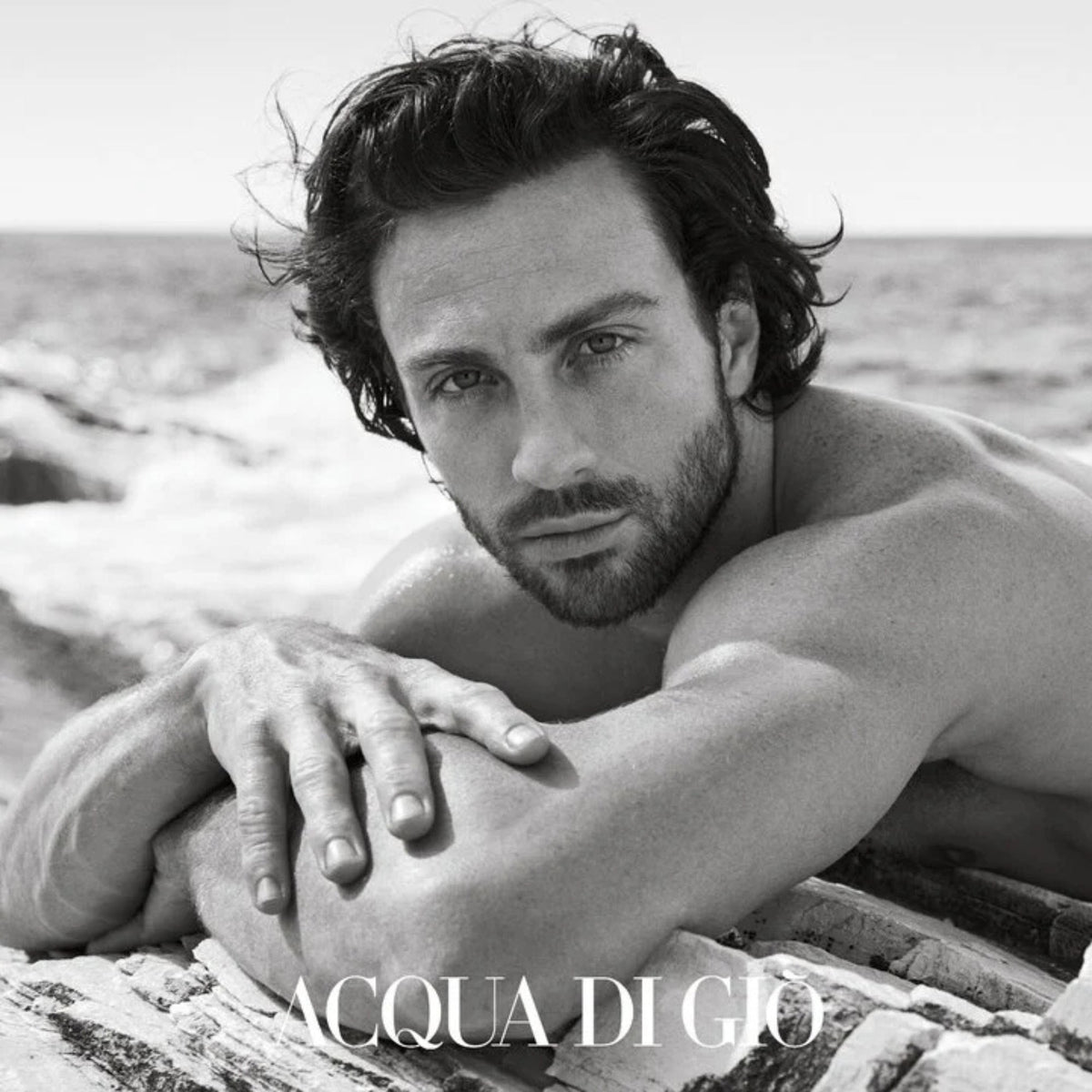 Giorgio Armani Acqua di Giò Profondo EDP 100ml Men's Cologne